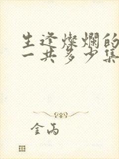 生逢灿烂的日子一共多少集