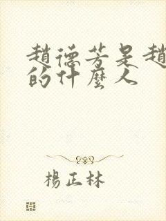 赵德芳是赵匡胤的什么人