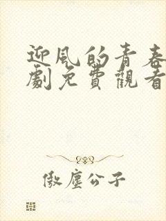 迎风的青春电视剧免费观看全集高清