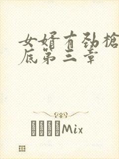 女婿有劲枪枪到底第三章