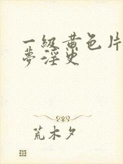 一级黄色片红楼梦淫史