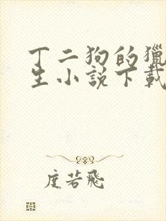 丁二狗的猎艳人生小说下载