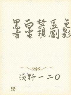 黑白禁区免费观看电视剧影视大全封面