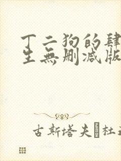 丁二狗的肆意人生无删减版小说免费