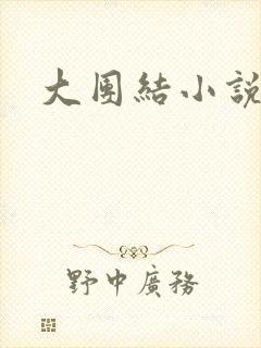 大团结小说全文