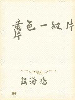 黄色一级片伦理片