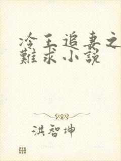 冷王追妻之医妃难求小说