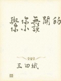 与你无关的我爱你小说封面