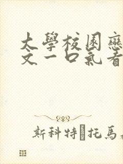 大学校园恋爱甜文一口气看完封面