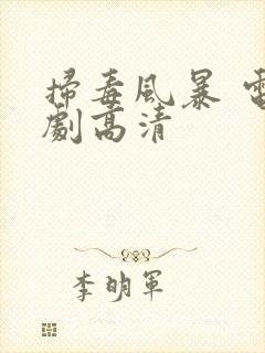 扫毒风暴 电视剧高清