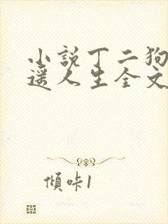 小说丁二狗的逍遥人生全文免费阅读