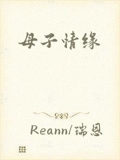 母子情缘封面