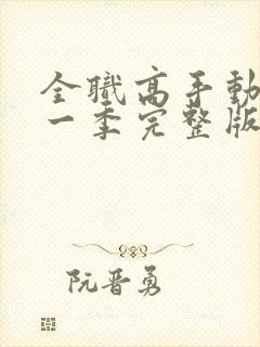 全职高手动漫第一季完整版封面