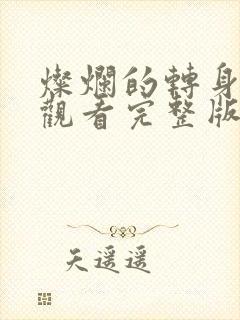 灿烂的转身在线观看完整版电视剧