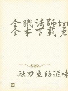 全职法师txt全本下载免费封面