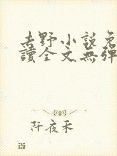 去野小说免费阅读全文无弹窗封面