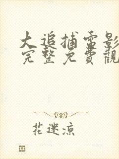 大追捕电影在线完整免费观看国语