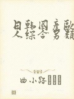 日韩国产欧美成人综合另类