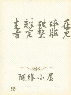 支离破碎在线观看完整版免费高清