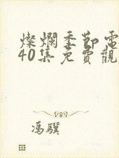 灿烂季节电视剧40集免费观看高清