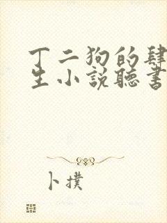 丁二狗的肆意人生小说听书封面