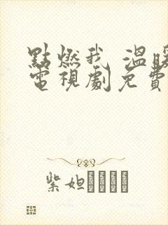 点燃我 温暖你电视剧免费观看