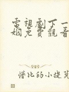 电视剧下一站婚姻免费观看全集高清