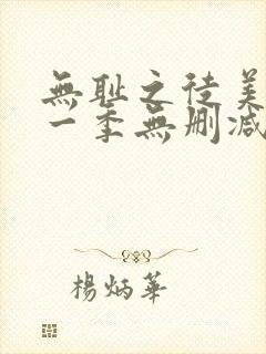 无耻之徒美版第一季无删减封面