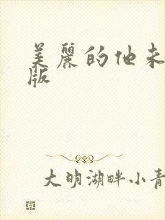 美丽的他未删减版