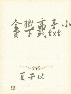 全职高手小说免费下载txt封面