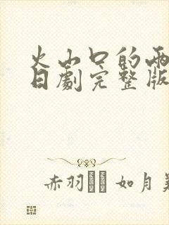 火山口的两个人日剧完整版