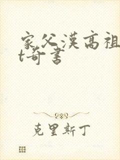 家父汉高祖txt奇书封面
