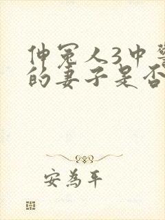 伸冤人3中警察的妻子是否封面