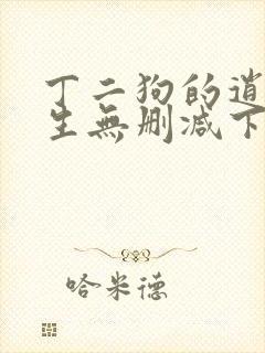 丁二狗的逍遥人生无删减下载封面