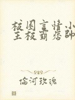 校园言情小说男主校霸痞帅