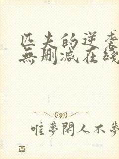 匹夫的逆袭小说无删减在线阅读封面