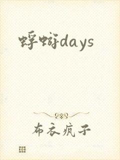 蜉蝣days封面