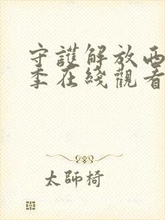 守护解放西第六季在线观看免费版电视剧封面