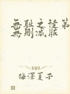 无耻之徒第一季无删减版