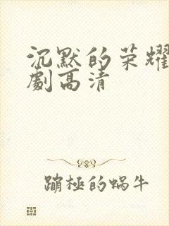 沉默的荣耀电视剧高清