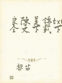 良陈美锦txt全文下载下载