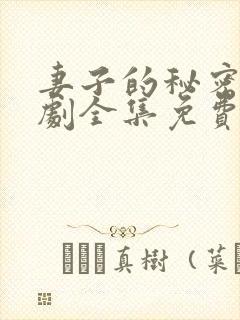 妻子的秘密电视剧全集免费观看人