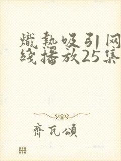 炽热吸引网剧在线播放25集免费观看