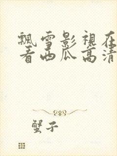 飘雪影视在线观看西瓜高清免费