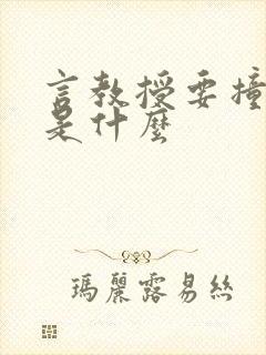 言教授要撞坏了是什么