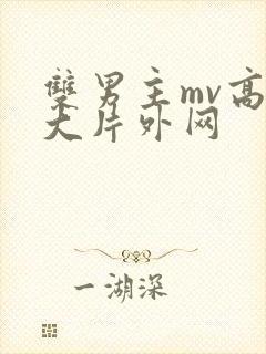 双男主mv高清大片外网封面