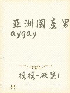 亚洲国产男同gaygay