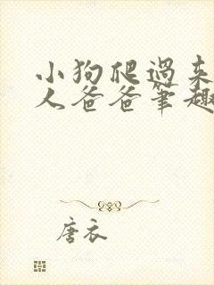 小狗爬过来叫主人爸爸笔趣阁