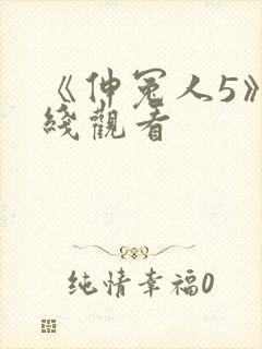 《伸冤人5》在线观看封面