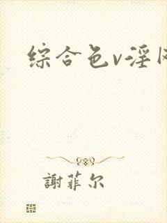 综合色v淫网址